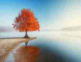 快‌速‌Node.js插​件‌